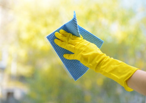 Payment and pricing terms for carpet cleaners