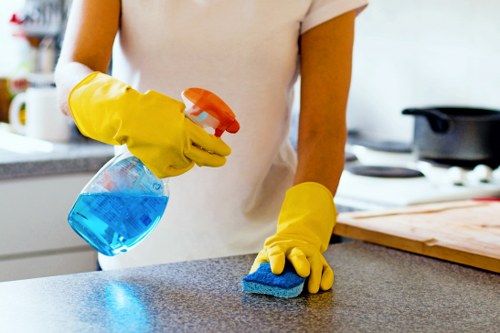 Professional upholstery cleaning in Enfield for a sofa