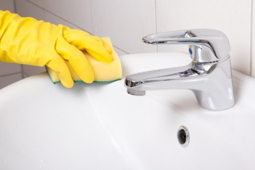 Eco-friendly carpet cleaning method for carpets in Enfield
